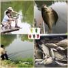 Cicada Fishing Lure, Lifelike 3D Holographic Eyes Freshwater Bait,5Pcs Artificial