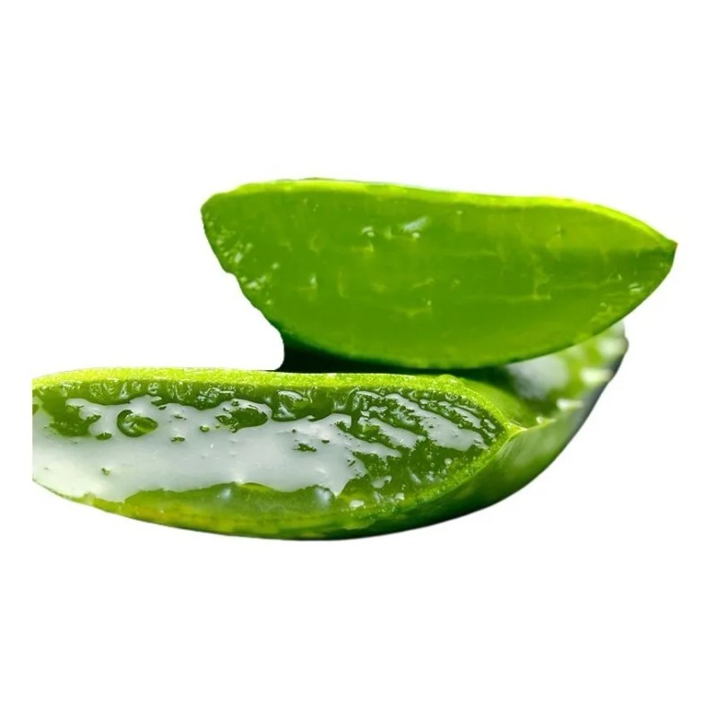 Gel Aloe Vera Sabila 500 Gramos Tipo de envase POLIETILENO