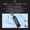 KMKZ ACID SHAMPOO 1.1 Acid Car Shampoo, 10.1 fl oz
