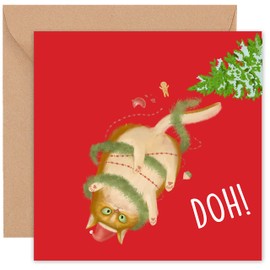 Felbridge Studio - Funny Cat Christmas Card- Cat Xmas Cards for Family Friend Mum Grandchildren - Meowy Christmas from Cat Kitten Tabby - 14cm