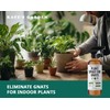 Kate's Garden Plant Spray for Insects & Getting Rid of