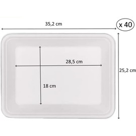 Miamex Set of Trays 35 x 25 cm Bagasse/Sugarcane Plates Recyclable Compostable Biodegradable (10, Rectangular)
