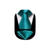 HISDERN Mens Ties Teal Silk Tie and Pocket Square Set