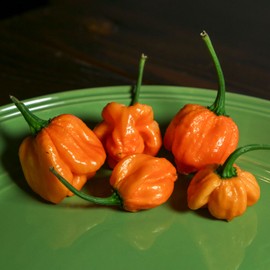 Pepper Joe's Peach Scotch Bonnet Pepper Seeds - Pack of 10+ Hot Chili Pepper Seeds - USA Grown - Spicy Pepper Seeds