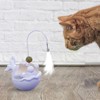 Cat Toys Interactive, Kitten Chasing Catnip Teaser, Sensory Exercise Treat