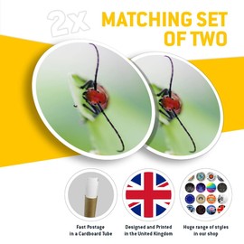 Vinyl Round Stickers (Set of 2) 25cm - Cute Red Milkweed Beetle for Laptops, Tablets, Luggage, Scrap Booking, Fridges #50691