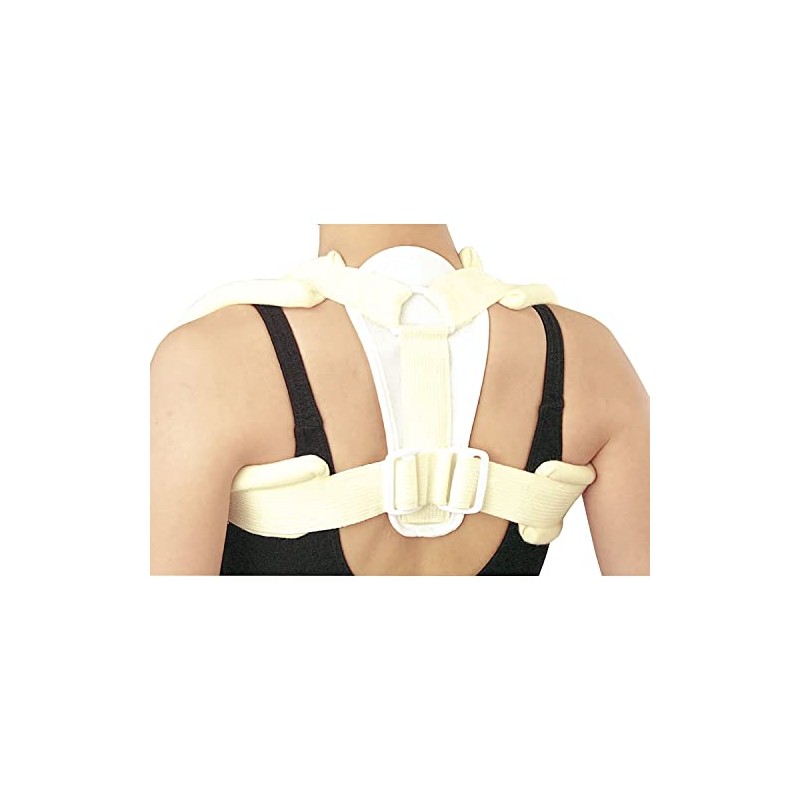 Japan Sigmax Crabicle Brace 15606 (LL)