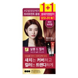 Elastine Salon de Color Hair Dye 2 packs (wine brown) / 엘라스틴 살롱드컬러 염모제 2입 (와인브라운)
