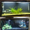 ELEBOX Aquarium Background Blue Black Fish Tank Background Picture 2