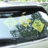 6 Pack Baby on Board Sign for Car,Lion Giraffe Baby