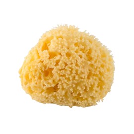 Rotho Babydesign Mittelmeerschwamm, Naturprodukt, Durchmesser: 9-10 cm, Gelb