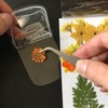 DIY Handmade Homemade Ins Bookmark Transparent Dried Flower Bookmarks