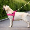 Didog Soft Mesh Padded Dog Vest Harness, Escape Proof/Quick Fit
