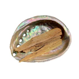 Abalone Shell Smoking Set with Palo Santo Wood I Incense Bowl Paula Shell Holy Wood