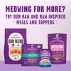 Stella & Chewy's Meowfulls Freeze Dried Cat Treats Whitefish &