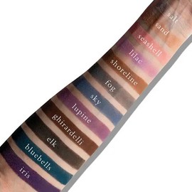 Viseart VisePRO Palette 11 Cool Mattes 2