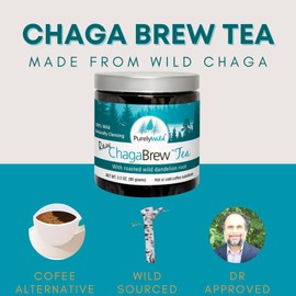 PURELY WILD Dr. Cass Ingram's Wildcrafted Chaga Mushroom Extract Powder – 90g – Nourishing Chaga Tea, Coffee Alternatives & Smoothies – Clean Energy Support – Vegan, Gluten-Free, No Fillers