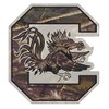 USC SOUTH CAROLINA Gamecocks Large 12" Camo Decal