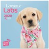 ERIK - Studio Pets Lab 2020 Wall Calendar, 16 Months,