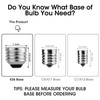 Meconard 36 Pack S14 LED Bulbs for Outdoor String Lights,
