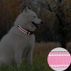 Reflective Dog Collar Breathable Pet Collar Adjustable Nylon Collars Multicolor