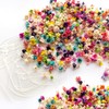 520 Mini Pressed Dried Flowers for Resin Crafts with 5