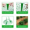 Iceyyyy 15 Pack Strawberry Supports - Strawberry Plant Support Strawberry