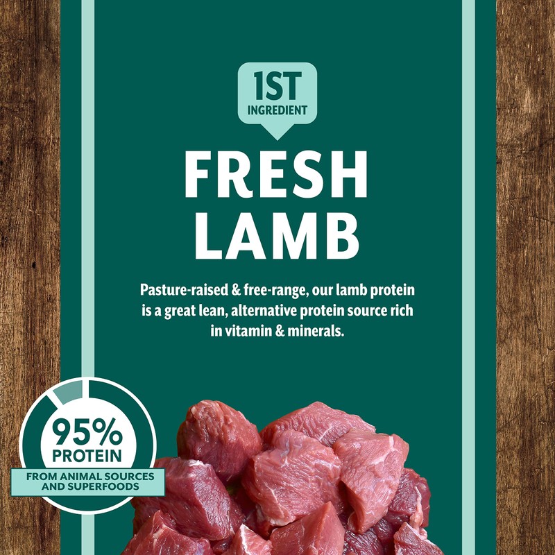 Venture Roasted Lamb & Butternut Squash Limited Ingredient Dry Dog