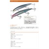 Bassday (basudei) Lure Log Surf 124 °F HH116 haitohoroiwasiberi-.