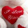 Heart Plush Bear with Teddy Bear I Love You and