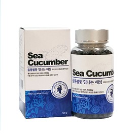 Sea cucumber king pills 120g / 해삼왕환120g