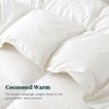Ltinhome Feathers & Down Comforter, Organic Duvet Insert, 100% Cotton