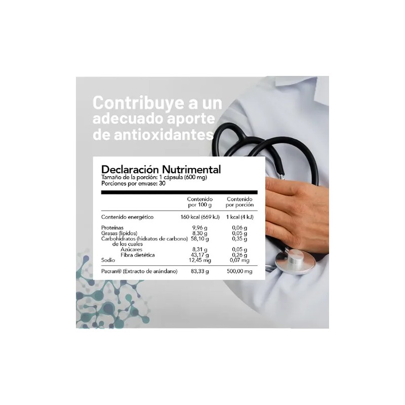 Extracto Arandano Capsulas 600mg Nin