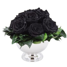 ROSEMARIE SCHULZ Heidelberg Infinity Flower in Silver Cup Eternal Rose Preserved Bouquet Long Lasting (Black, 11 Roses)