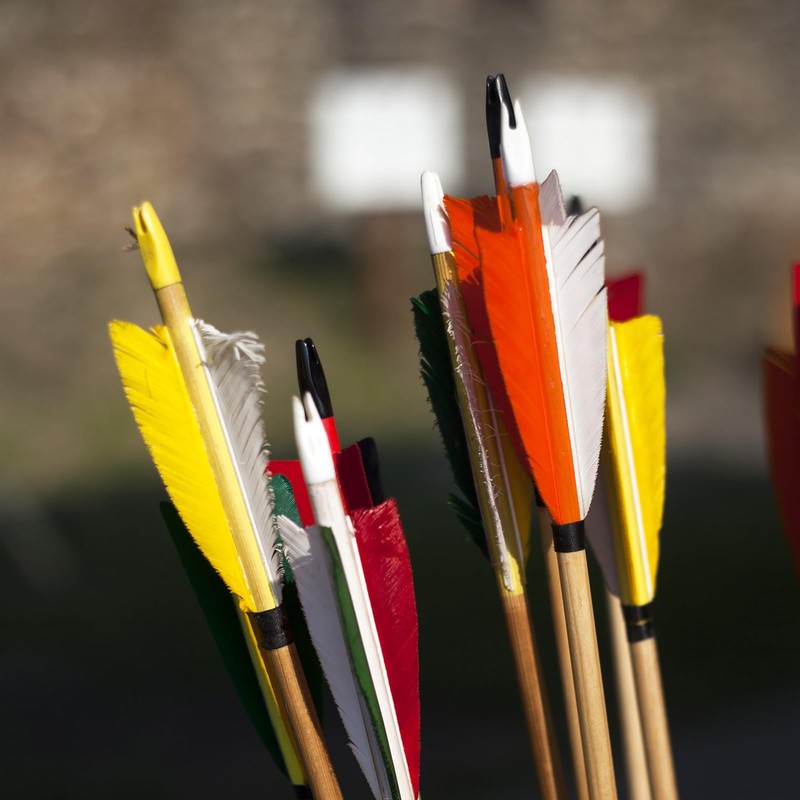PATIKIL Archery Arrows Nocks 4.2mm 0.165", 50 Pack Insert Arrow