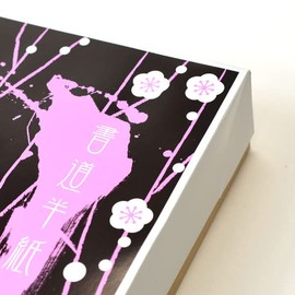 Smear-proof and Tear Resistant Extra Thick Calligraphy Hanshi Nogyu (200 Sheets)