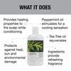 GREAT CLIPS Solutions Tea Tree Conditioner 12 fl oz |