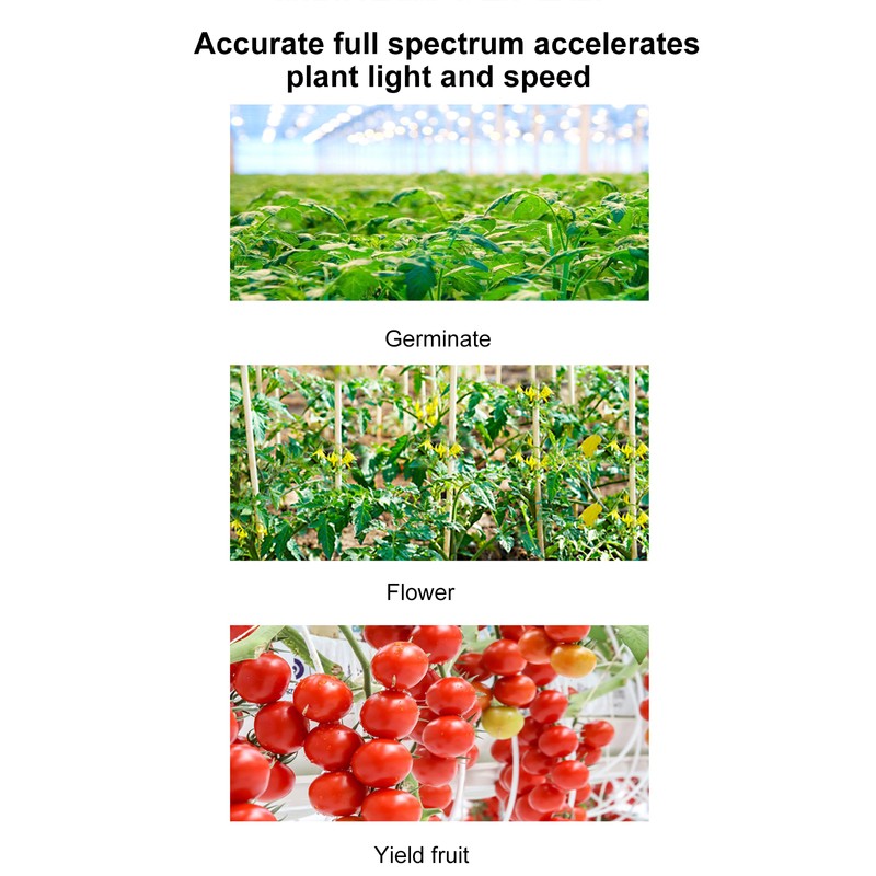 LED Plant Growth Light Board Full Spectrum Supplement Light for