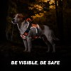 WINGOIN Orange Tactical Dog Harness for Medium Dogs, Heavy Duty