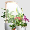 bodkar Wooden Grow Lights for Indoor Plants Full Spectrum, Slim