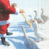 Ideal Home Series Lunch Napkins Goose and Santa