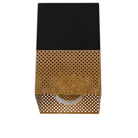 LUCIDE Renate Ceiling Light 1 x E27 Matt Gold/Brass