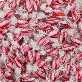 Smarty Stop Twist Every Flavor Hard Candies Individually Wrapped (Cinnamon, 2 Pound (Pack of 1))