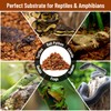 Riare 6 Pack Natural Coconut Chip Substrate for Reptiles- Compressed