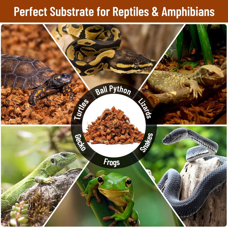 Riare 6 Pack Natural Coconut Chip Substrate for Reptiles- Compressed