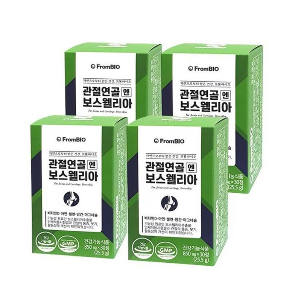 Lee Byung-hun From Bio Joint Cartilage Boswellia 30 Tablets x