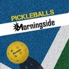 Morningside 40 Hole Outdoor Pickleballs Balls USA Pickleball USAPA Rule