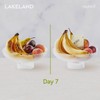 6 Lakeland Stayfresh Sheets Keeps Soft Fruit Fresher For Longer