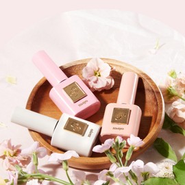 Mayo MAYO Dohwa Gel, 3 types of individual syrup gel / 마요 MAYO 도화젤 3종 단품 시럽젤
