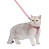 Voyager Step-in Air Cat Leash Harness Set - All Weather